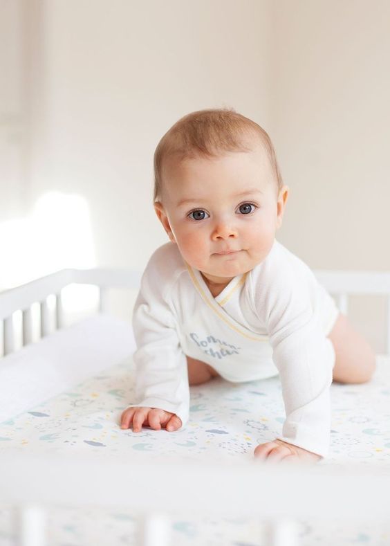 Курс 4–6 місяців